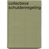 Collectieve schuldenregeling door Ronny Plaeke