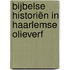 Bijbelse historiën in Haarlemse olieverf