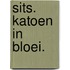 Sits. Katoen in bloei.
