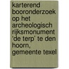 Karterend booronderzoek op het archeologisch rijksmonument ‘De Terp’ te Den Hoorn, gemeente Texel by O. Brinkkemper