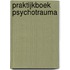 Praktijkboek psychotrauma