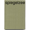 Spiegelzee by Salomon Kroonenberg