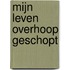 Mijn leven overhoop geschopt
