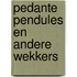 Pedante pendules en andere wekkers