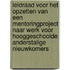 Leidraad voor het opzetten van een mentoringproject naar werk voor hooggeschoolde anderstalige nieuwkomers
