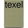 Texel by Unknown