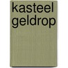 Kasteel Geldrop door Saskia Minjon