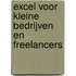 Excel voor kleine bedrijven en freelancers