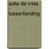 Auke de Vries - Tussenlanding