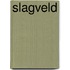 Slagveld