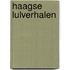 Haagse lulverhalen