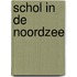 Schol in de Noordzee