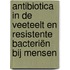 Antibiotica in de veeteelt en resistente bacteriën bij mensen
