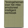 *Breingeheimen voor het MBO Emotioneel intelligent werkboek door Jitske Schulte