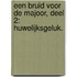 Een Bruid voor de Majoor, deel 2: Huwelijksgeluk.
