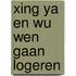 Xing Ya en Wu Wen gaan logeren