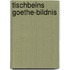 Tischbeins Goethe-Bildnis