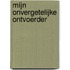 Mijn onvergetelijke ontvoerder