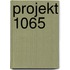 Projekt 1065