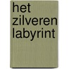 Het zilveren labyrint by Peter DeWillis