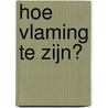 Hoe Vlaming te zijn? door Jozef Deleu