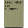 Zeeschelpen van Suriname door Jan Veltkamp