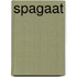 Spagaat
