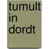 Tumult in Dordt
