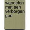 Wandelen met een verborgen God door Ronald Lammers
