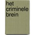 Het criminele brein