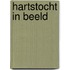 Hartstocht in beeld