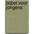 Bijbel voor jongens