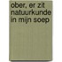 Ober, er zit natuurkunde in mijn soep