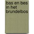 Bas en Bes in het Brundelbos