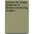 System for image guidance in breast-conserving surgery