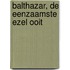 Balthazar, de eenzaamste ezel ooit