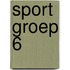 Sport groep 6