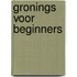 Gronings voor beginners