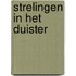 Strelingen in het duister