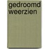 Gedroomd weerzien