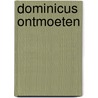 Dominicus ontmoeten door Paul D. Hellmeier