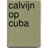 Calvijn op Cuba