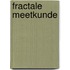 Fractale meetkunde