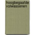 Hoogbegaafde volwassenen