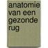 Anatomie van een gezonde rug