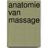 Anatomie van massage