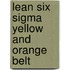 Lean six sigma yellow and orange belt