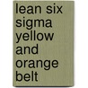 Lean six sigma yellow and orange belt door H.C. Theisens
