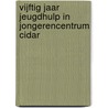 Vijftig jaar jeugdhulp in Jongerencentrum Cidar by Karel De Vos