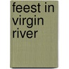 Feest in Virgin River by Robyn Carr